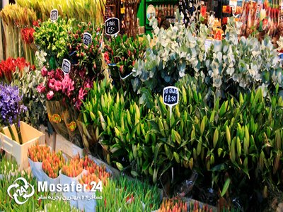 بازار گل آمستردام